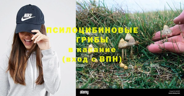 винт Михайловск
