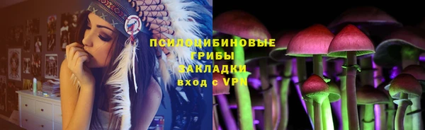 ГАЛЛЮЦИНОГЕННЫЕ ГРИБЫ Алзамай