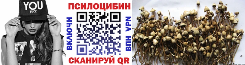 ссылка на мегу вход  Миньяр  Псилоцибиновые грибы Psilocybine cubensis 
